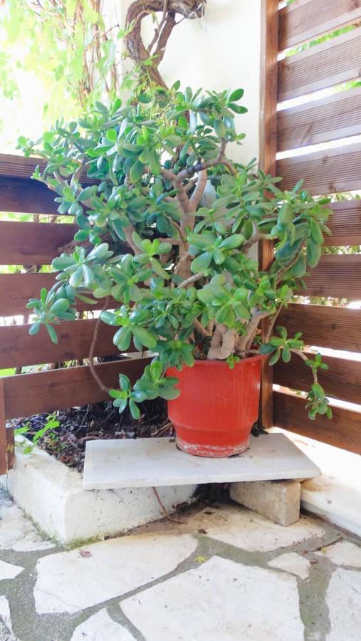 Lefkáda Agrambeli Rooms & Apartments מראה חיצוני תמונה